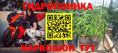 спайс Кунгур