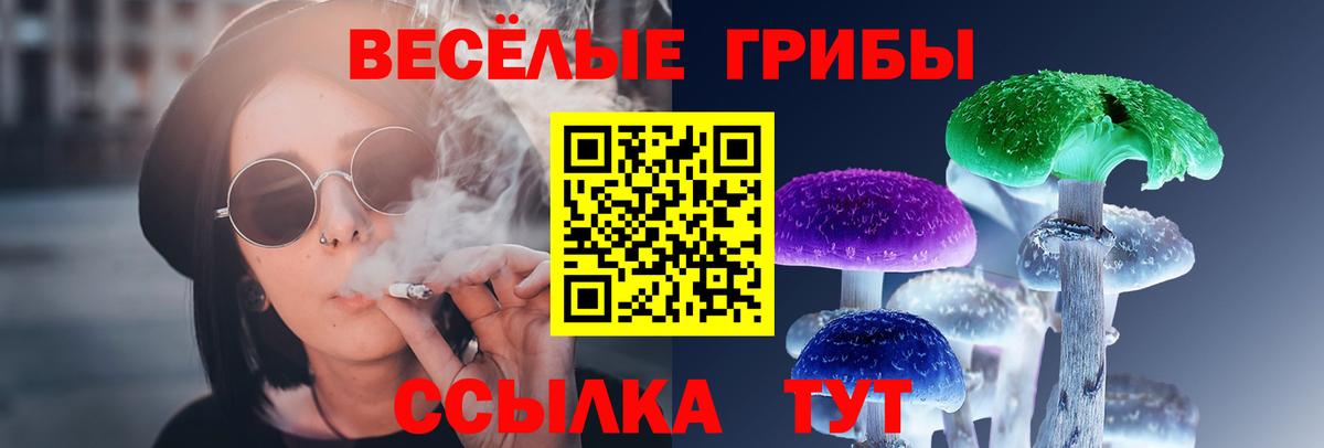 Псилоцибиновые грибы мухоморы Знаменск